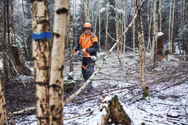 STIHL HTA 150 – Perche élagueuse pro Forestier & Entretien en action