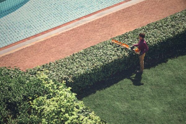 Taille-haies à batterie Stihl HSA 150 T – Précision professionnelle et puissance thermique (sans batterie ni chargeur) – Image 3