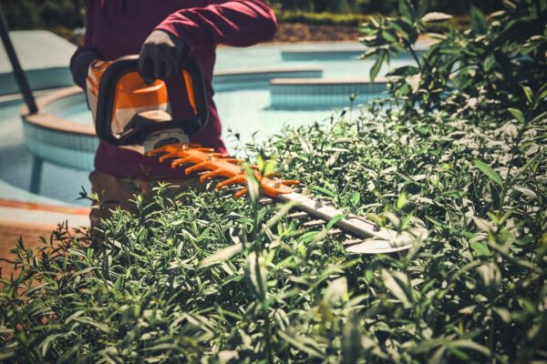 Taille-haies à batterie Stihl HSA 140 T – Puissance pro et coupe de précision – Image 2
