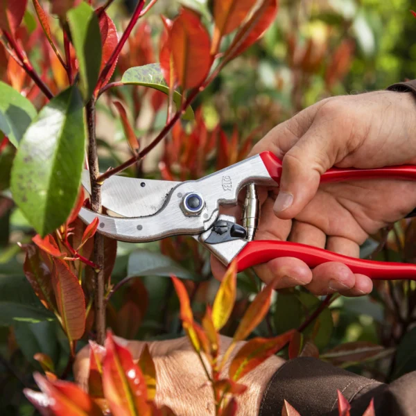 Sécateur FELCO 4 – Puissant, robuste et idéal pour grandes mains – Image 2