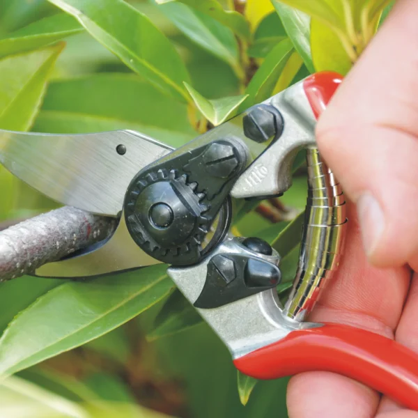 Sécateur FELCO 6 – Compacité, ergonomie et précision – Image 2