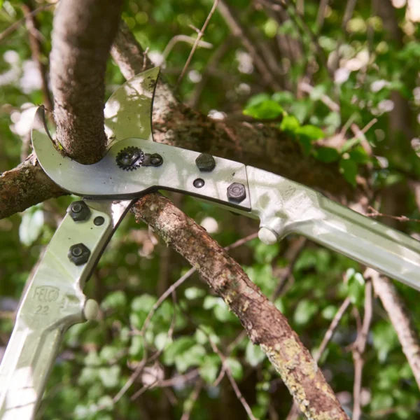 Élagueur FELCO 22 – Puissance et ergonomie pour les branches épaisses – Image 2