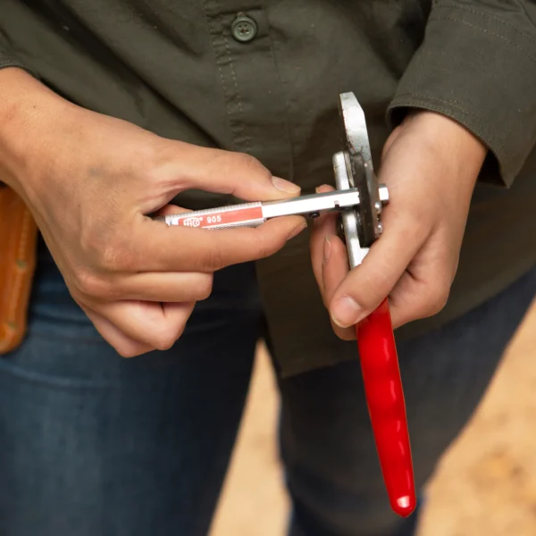 Aiguisoir FELCO 905 – Multifonction pour un entretien rapide – Image 2