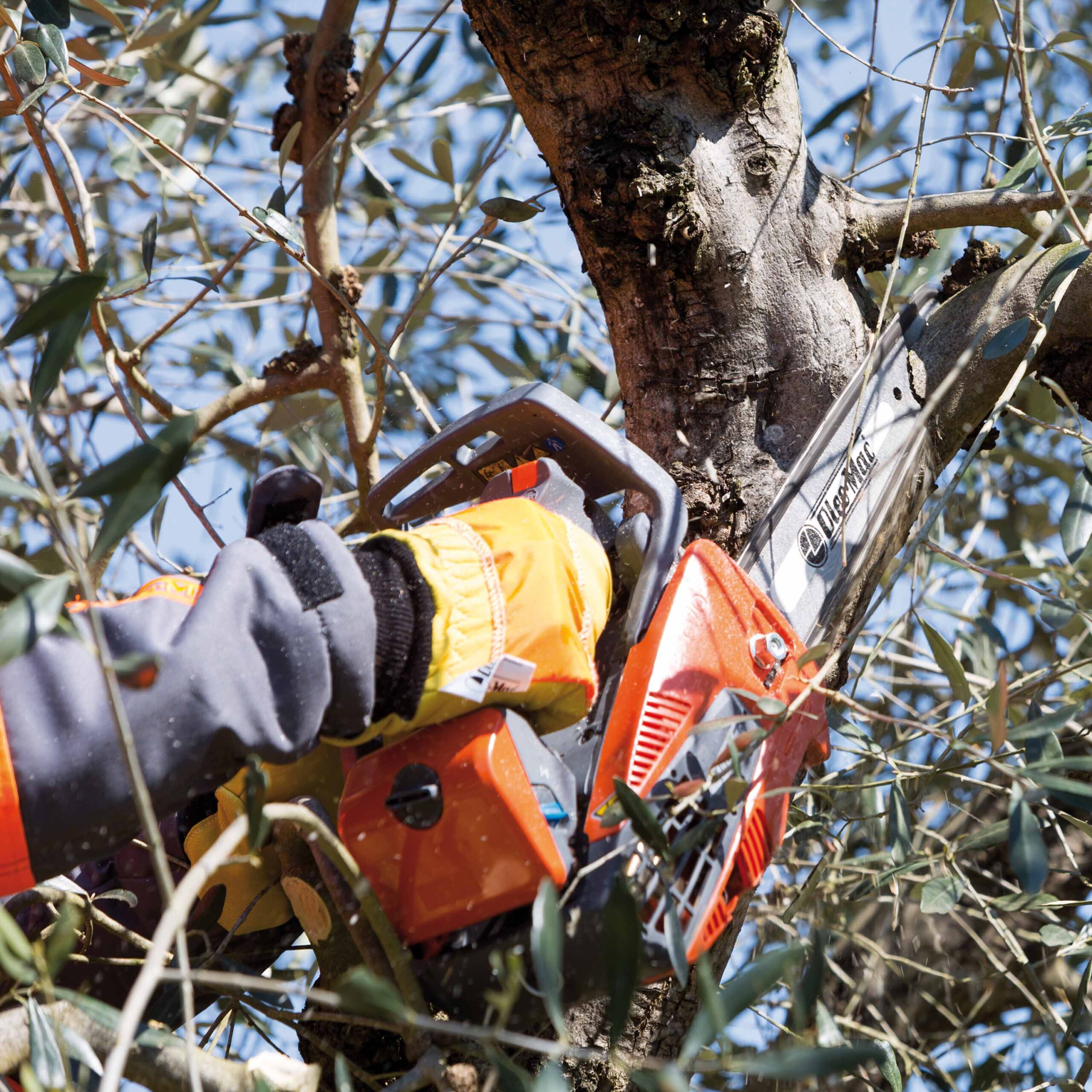 Élagueuse Oleo-Mac GST 250 – Maniabilité, puissance et design Giugiaro – Image 3