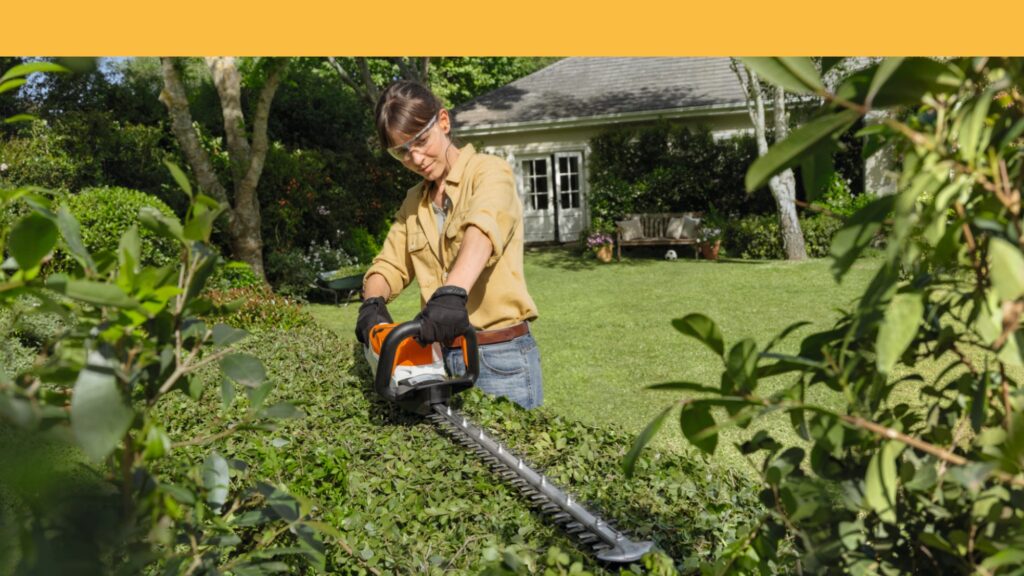 Batteries AK Stihl photo